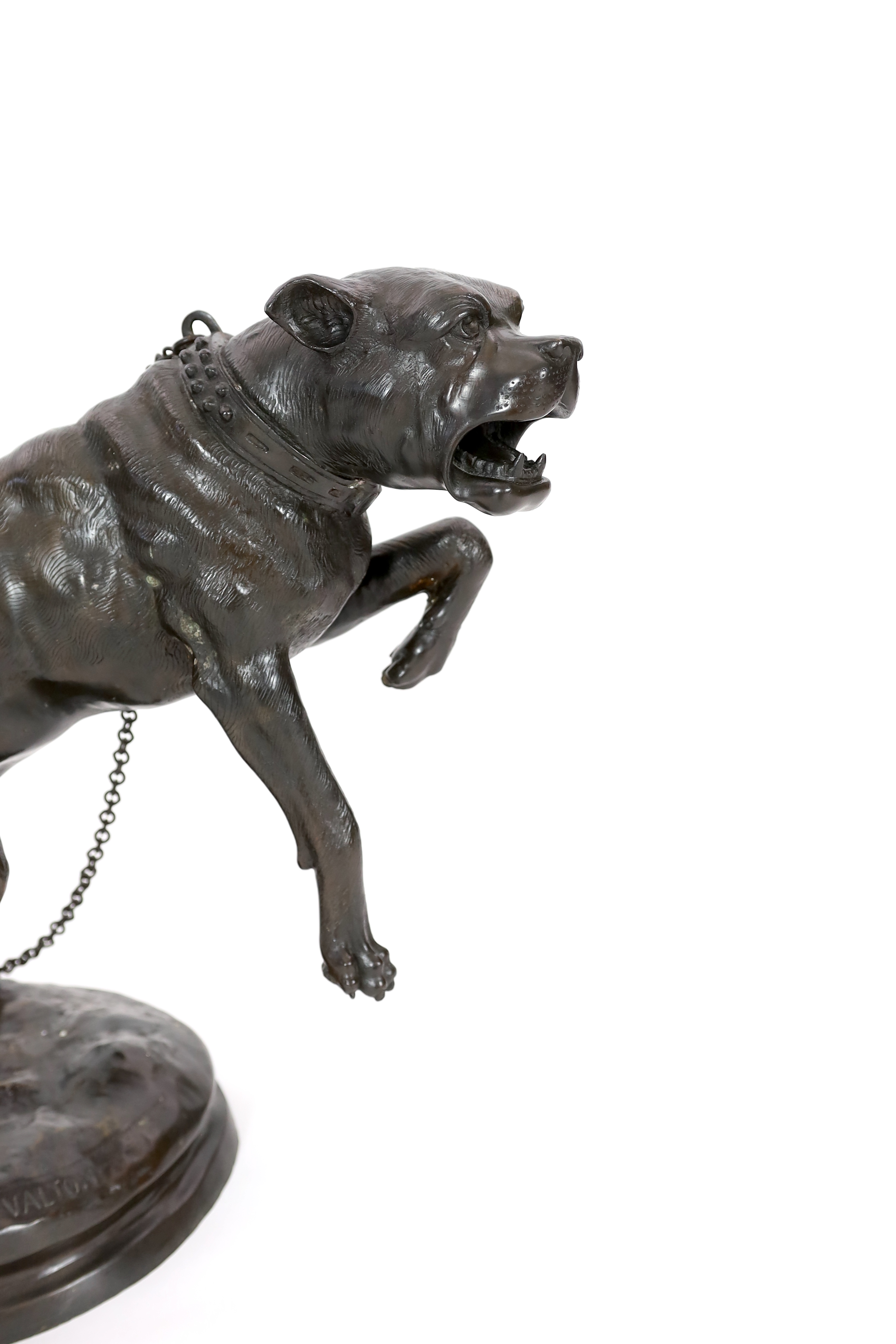 After Charles Valton (French, 1851-1819), a bronze model of a lunging Mastiff 'Passez au Large', 63cm wide, 59cm high